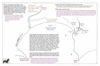 coo1d07 poverty bay 5_thumb.gif